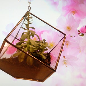 May include: A glass terrarium with a copper frame hangs from a chain. The terrarium contains a small succulent plant and soil. The background is a blurred image of pink flowers.