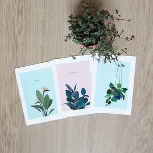 Lot 3 Cartes postales Plant Lover