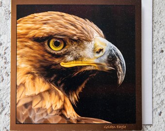 Golden Eagle 15 x 15 cm, 6 inch x 6 inch, Blank Photo Greeting Card Suitable for any occasion