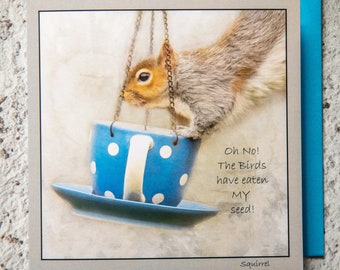 Grey Squirrel, Oh no, the birds have eaten my seed 15 x 15 cm, 6 inch x 6 inch, Blank Photo Greeting Card Suitable for any occasion