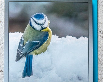 Blue Tit in Snow 15 x 15 cm, 6 inch x 6 inch, Blank Photo Greeting Card Suitable for any Occasion