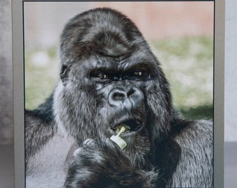 Gorilla 15 x 15 cm, 6 inch x 6 inch, Blank Wildlife Photo Greeting Card