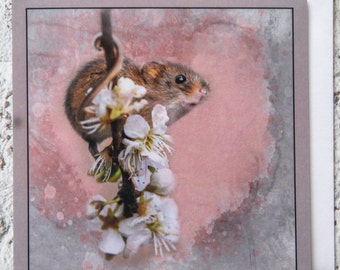 Harvest Mouse Heart 15 x 15 cm, 6 inch x 6 inch, Blank Photo Greeting Card Suitable for any occasion