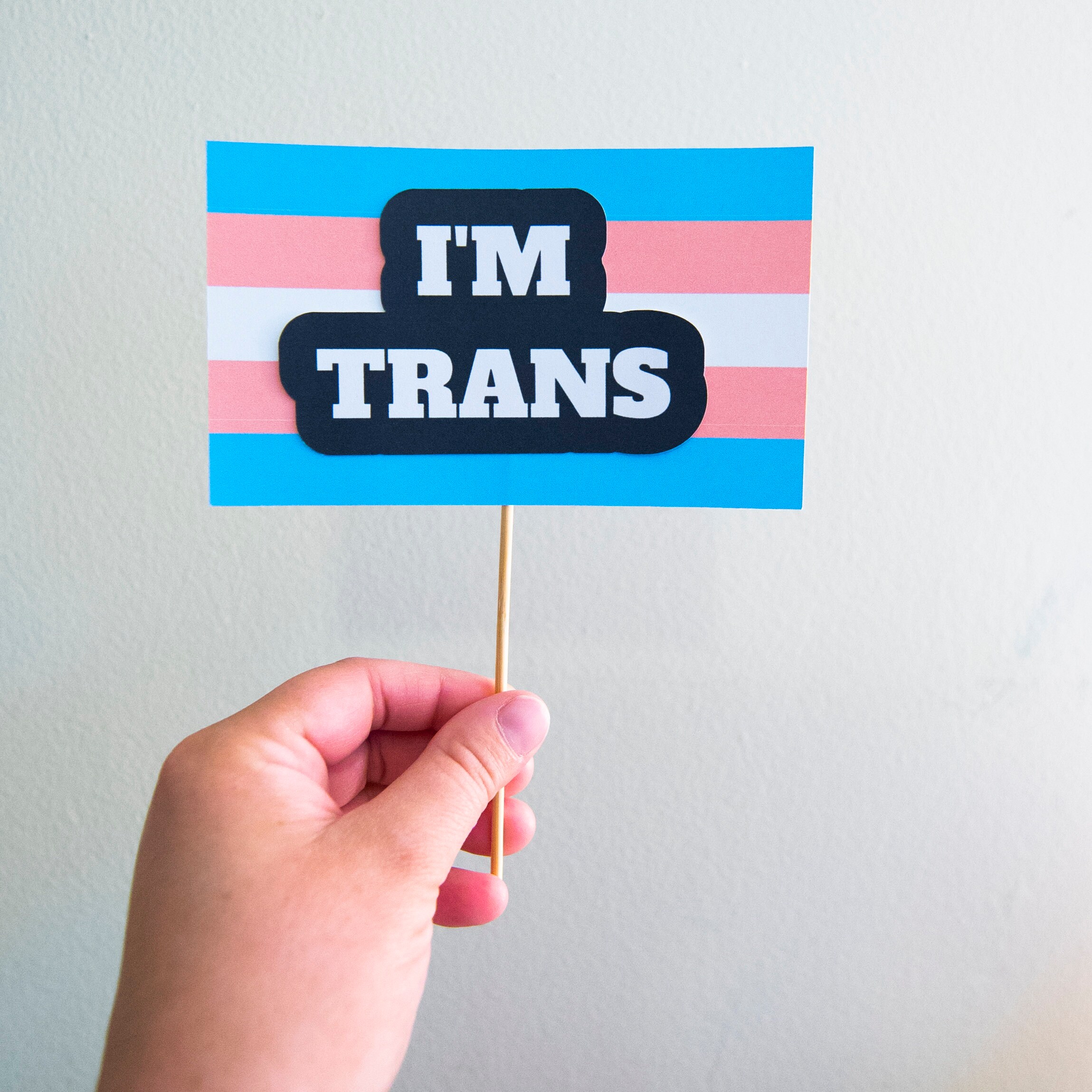 Cake Topper Trans Coming Out as Trans How to Come Out Etsy UK