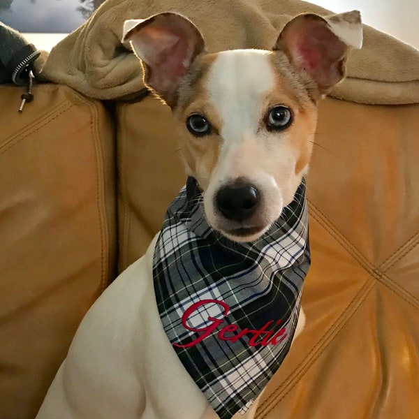 Pañuelo de perrito a cuadros personalizado con nombre bordado