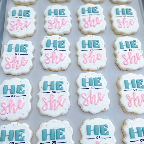 Gender Reveal Cookies Gender Reveal Balloon He or She What Etsy