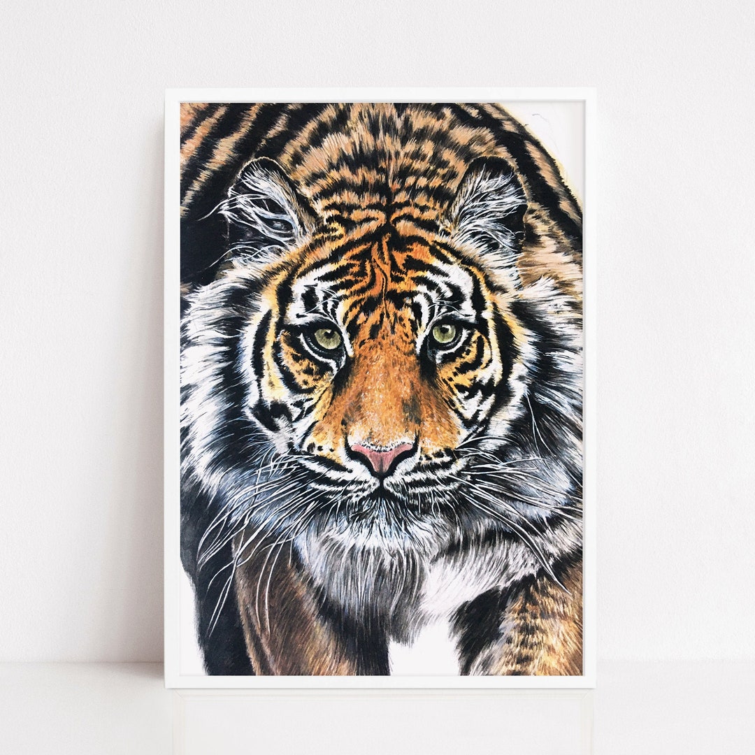 TIGER fine Art Print Giclée Print Tiger Wall Art Animal Prints Big Cat