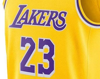 t shirt lebron james uomo porpora