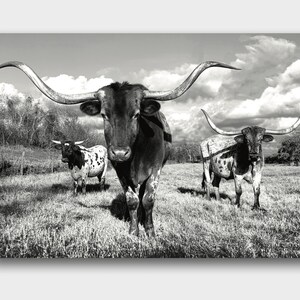 Longhorn Wall Decor, Longhorn Art, Longhorn Print, Longhorn Canvas, Longhorns Forever B&W Photography Art- Canvas - Print - Framed Print