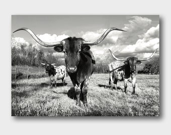 Longhorn B&W Photography Art: Texas Cattle Canvas or Framed Print