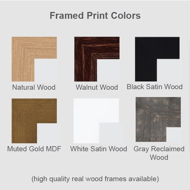 Minute Maid Park Houston Astros Stadium Minute Maid Stadium - Etsy