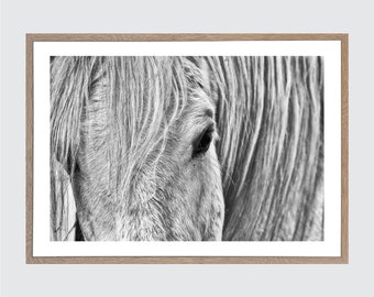 Black & White Horse Photography: Equestrian Wall Art, Framed Print