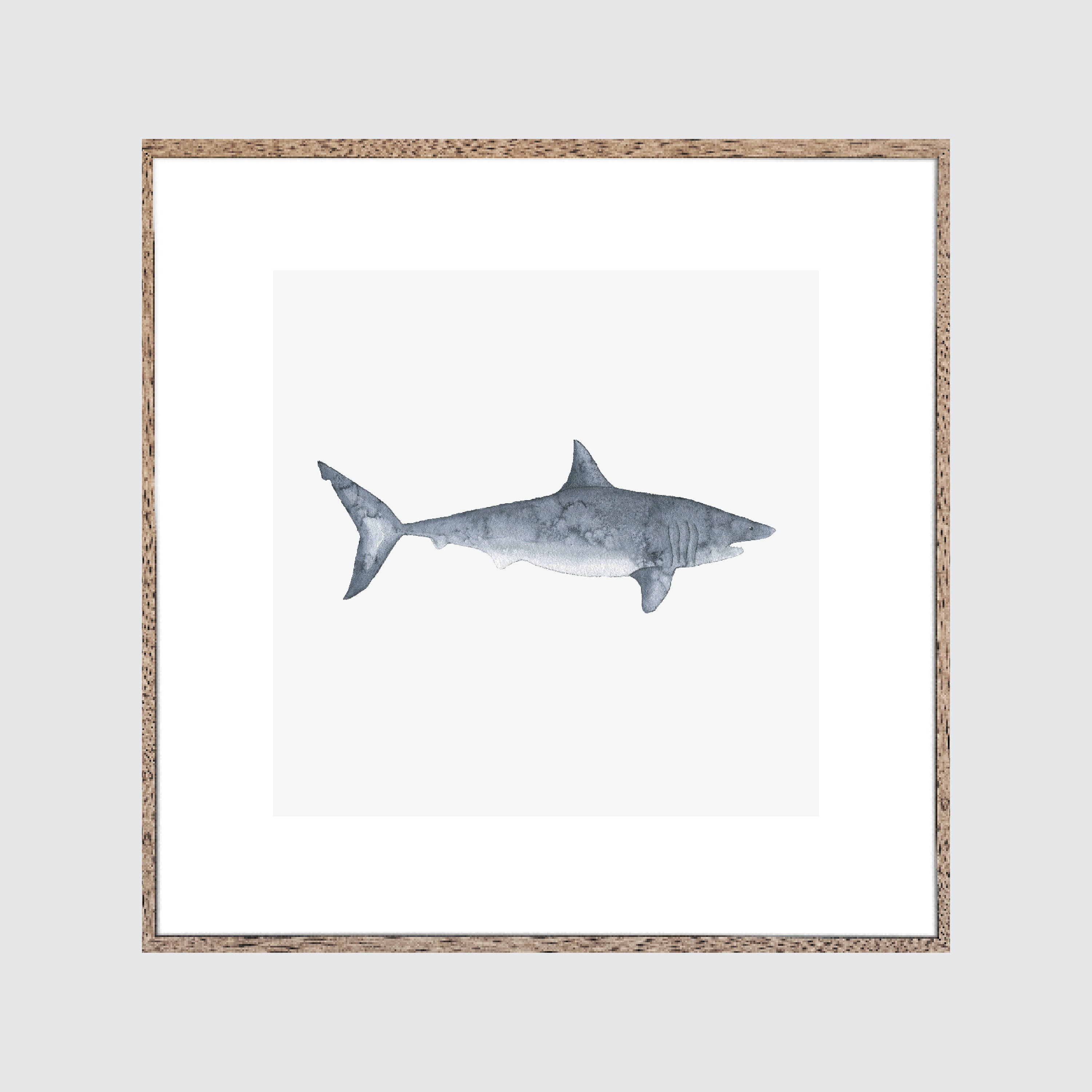 Shark Wall Decor Canvas Print Framed Print Etsy