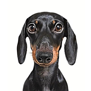 Custom Pet Portrait from Photo | Digital download | Cute Pet Art Print | Funny Pet Gifts | dog lover gift | christmas gift |best friend gift