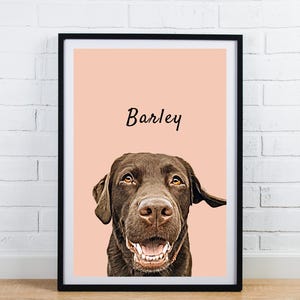 May include: Framed portrait of a chocolate Labrador Retriever named Barley. The dog's head and shoulders are centered against a peach background. The dog is smiling, showing its teeth. The name "Barley" is written in cursive above the dog's head. The frame is black.