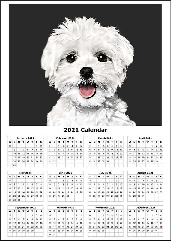 custom dog calendar