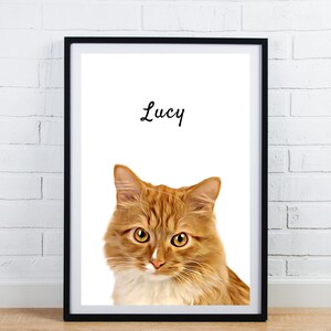 May include: Framed print featuring a close-up of an orange tabby cat with yellow eyes and white markings. The cat's name, "Lucy", is written in cursive above the image. The print is in a black frame and set against a white background.