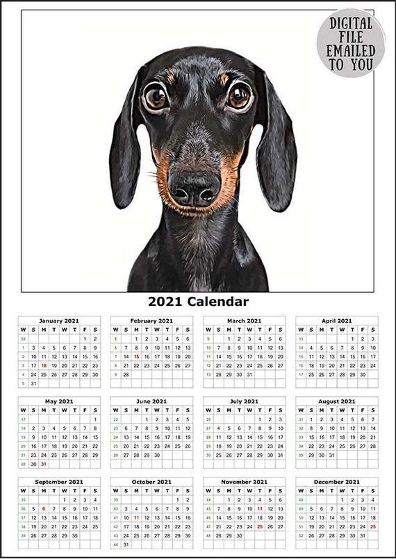 custom dog calendar