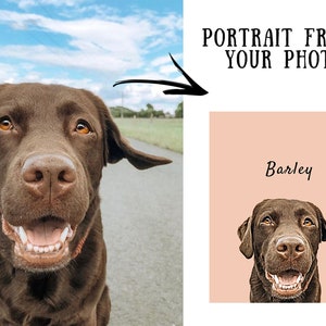 May include: A chocolate Labrador Retriever with a happy expression, captured in a close-up shot. The dog's portrait is also featured on a pink background, with the name "Barley" above the image, and the text "PORTRAIT FROM YOUR PHOTO".