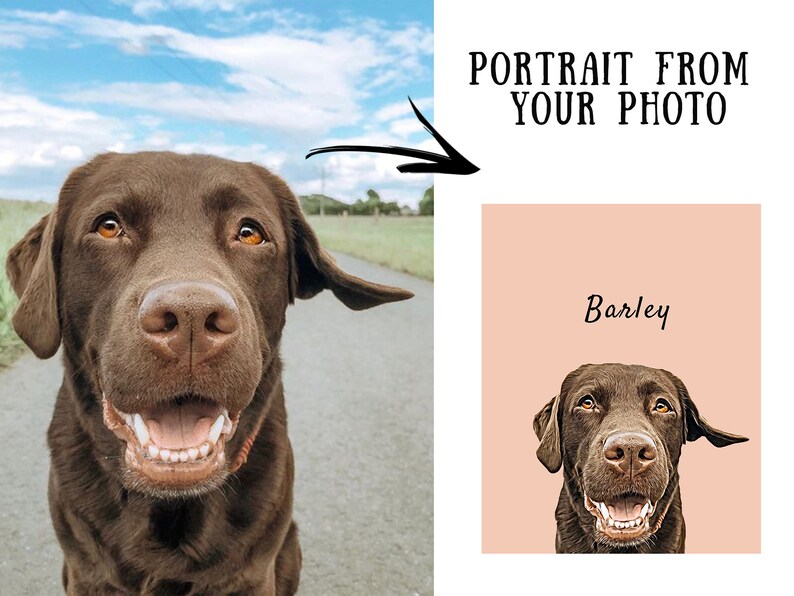 May include: A chocolate Labrador Retriever with a happy expression, captured in a close-up shot. The dog's portrait is also featured on a pink background, with the name "Barley" above the image, and the text "PORTRAIT FROM YOUR PHOTO".