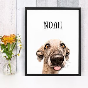 May include: A framed print with a white background featuring a cartoon illustration of a dog with its tongue sticking out. The dog's name, "NOAH", is printed in black at the top of the image.