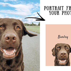 May include: A portrait of a brown Labrador Retriever dog with the name "Barley" written above it. The dog is smiling with its tongue slightly sticking out. The background is a light peach color.