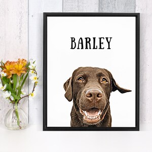 May include: A framed print with a white background featuring a brown Labrador Retriever dog with the name "BARLEY" printed in black text above the dog.