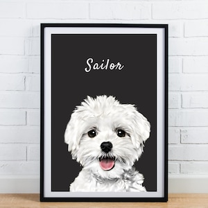 bishone or maltese dog illustration digital portrait print in black frame