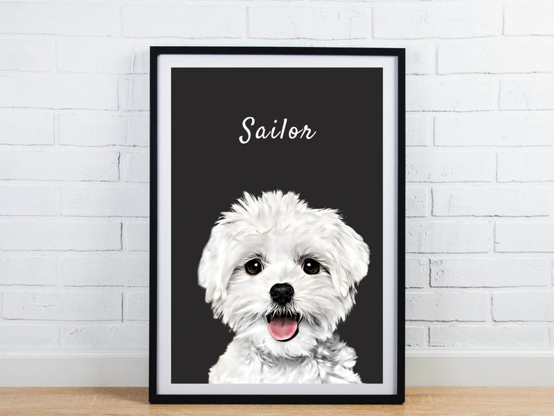 bishone or maltese dog illustration digital portrait print in black frame