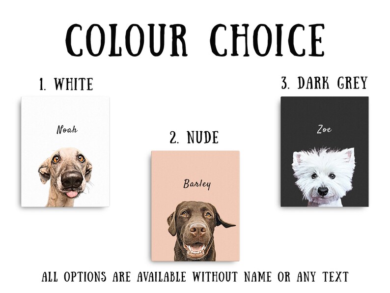 May include: The image displays three dog portraits with the text "COLOUR CHOICE". The first portrait is on a white background, the second on a nude background, and the third on a dark grey background. Each portrait has a dog's name.
