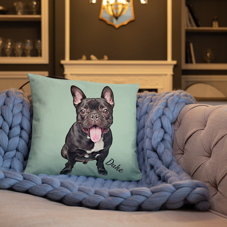 Custom pet portait pillow, dog lover gift, pet mom, custom dog portrait, birthday gift, chirstmas gift, cat pillow, dog dad gift
