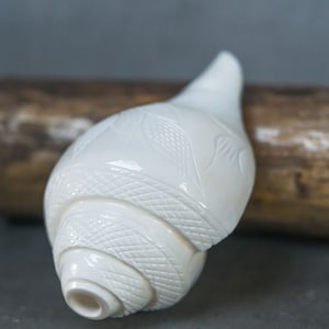 puja Conch Shell big Size 8 inches you have to blow into this shell, it makes a wonderful sound! Hare Krishna puja, Spiritual things