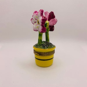 Stunning Two FLOWERS in Planter ~ Rochard ~ Limoges Trinket Box ~ Limited Edition ~ Peint main