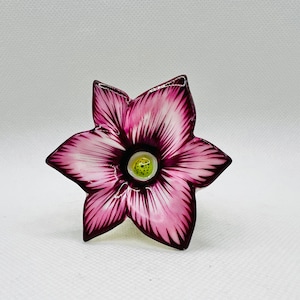 Beautiful Amaryllis Flower ~ Parry Vieille (PV) ~ Limoges Trinket Box ~ Peint main (Hand-Painted) in Limoges, France ~ Lilly