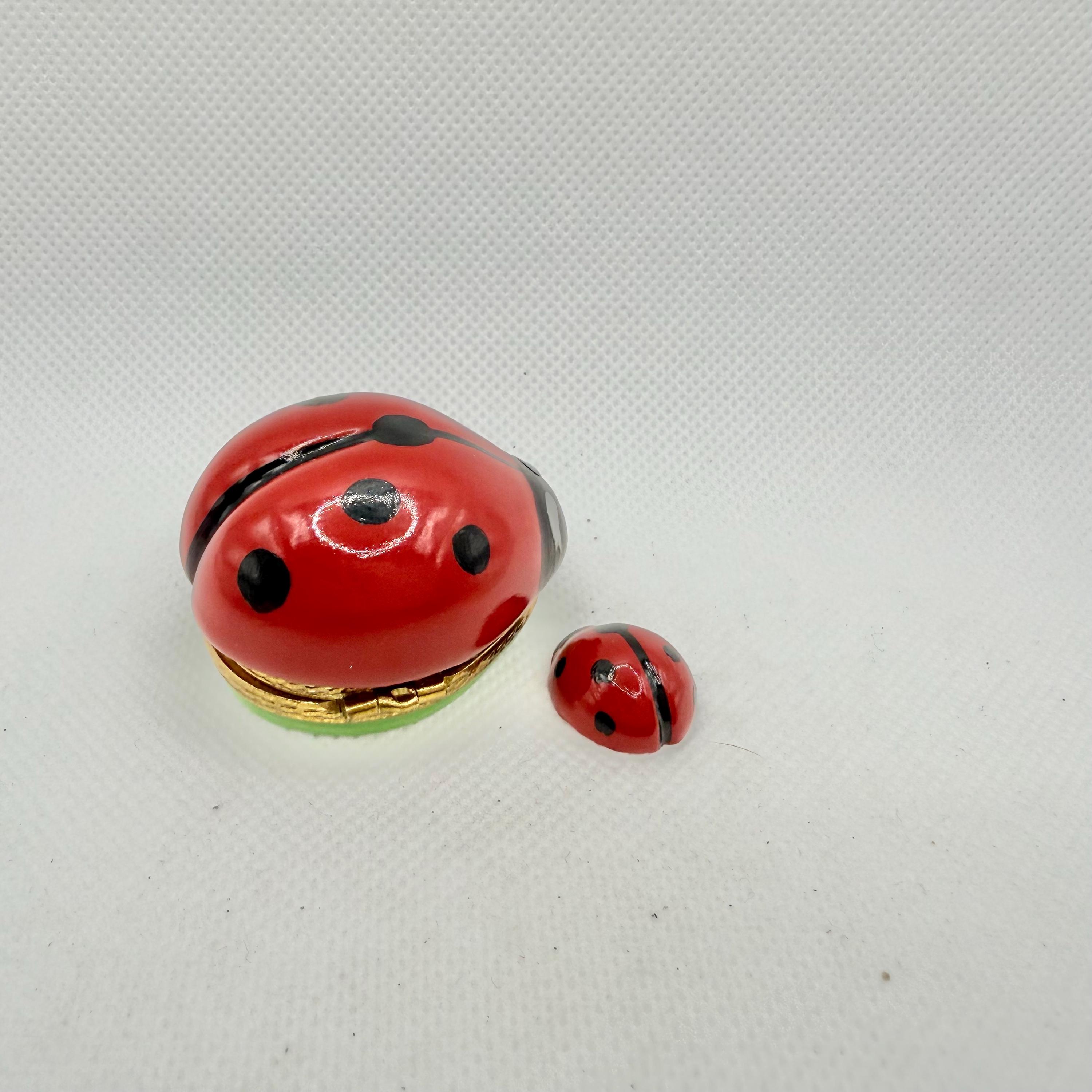 愛らしいてんとう虫と赤ちゃんてんとう虫〜ロシャール〜リモージュ