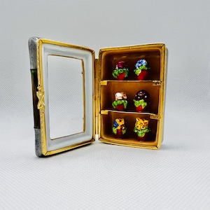 FLOWER Potted Plants in DISPLAY Case ~ Limoges Trinket Box ~ Peint main (Hand-Painted) in Limoges, France