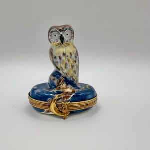 Beautiful Barn Owl ~ ROCHARD ~ Limoges Box ~ Peint Main (hand