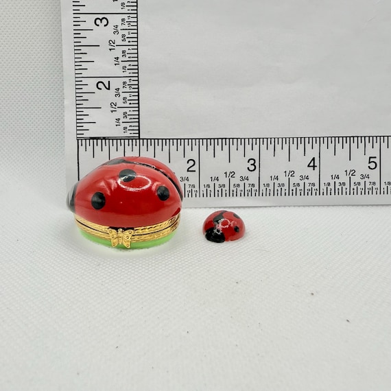 愛らしいてんとう虫と赤ちゃんてんとう虫〜ロシャール〜リモージュ