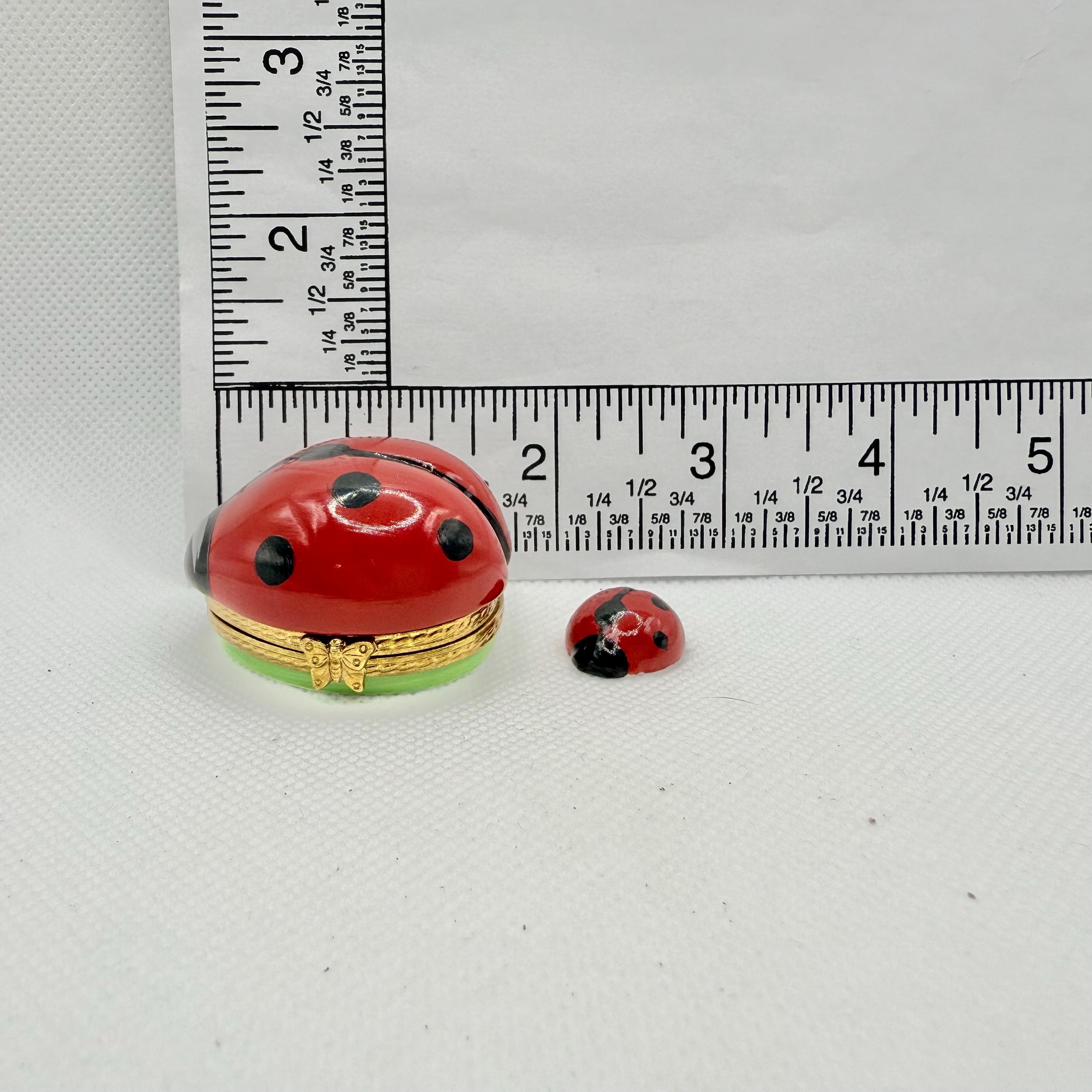 愛らしいてんとう虫と赤ちゃんてんとう虫〜ロシャール〜リモージュ