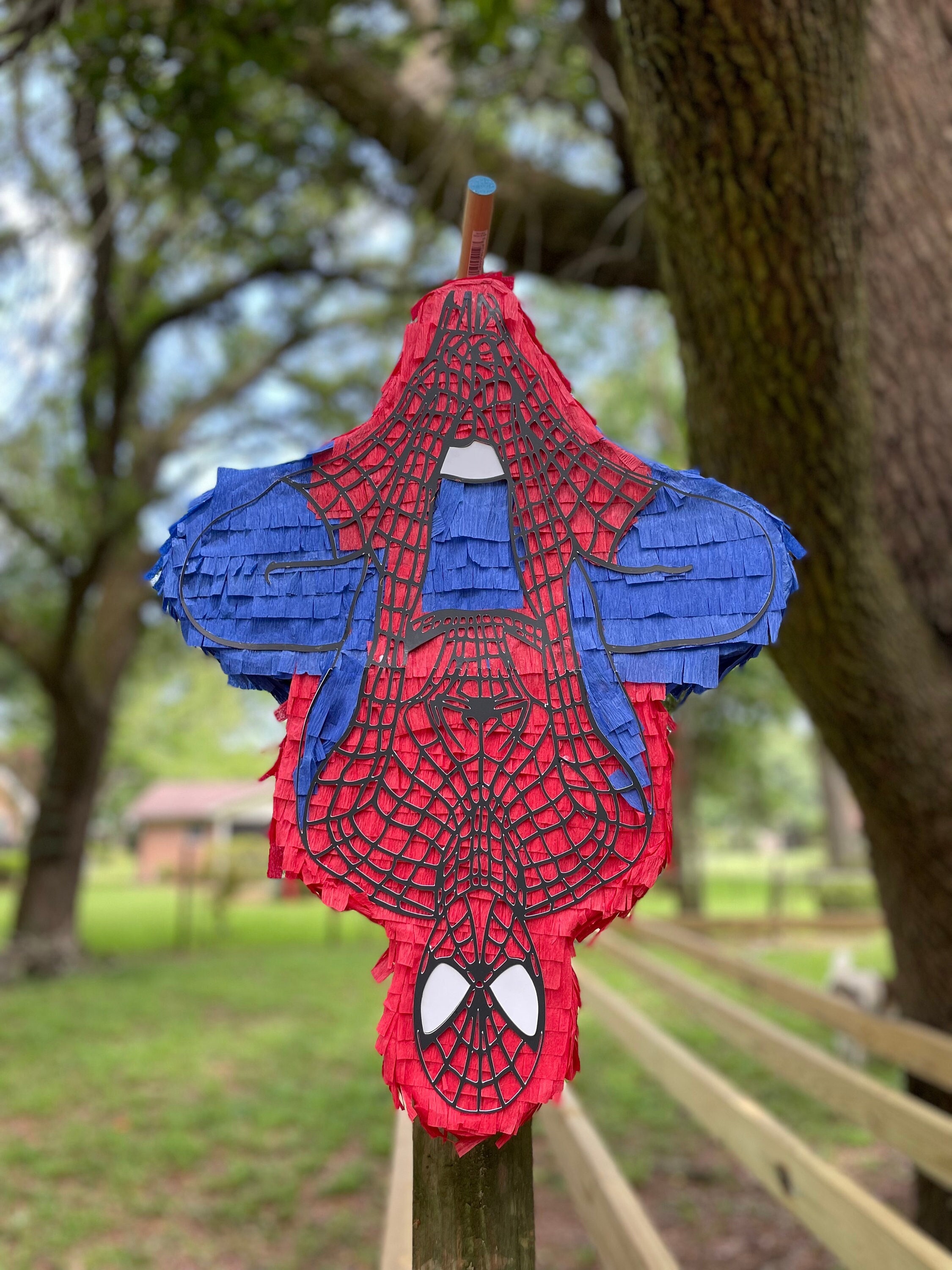 Premium Photo  Spiderman pinata in a garden on a sunny day