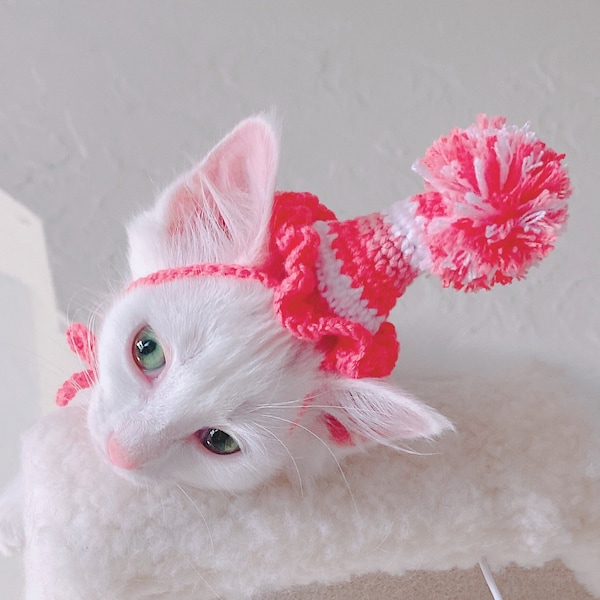 Birthday Hat for cats and kittens: Crocheted Cat Accessory | Custom order | Hat for cats | Party Hat *New Colors*