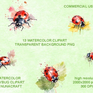 Ladybug Clipart - 13 High Quality PNGs - Summer Insect Scrap Booking, Mugs, Mixed Media - Commercial License, Transparent background