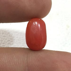 Natural Red Coral Gemstone Loose Coral Beads Healing Crystal Mediterranean Coral Jewelry Making 6.50 crt