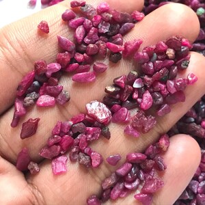 Op de afbeelding: Een verzameling kleine, ruwe, ongepolijste robijn-edelstenen in verschillende tinten diep roze en magenta. Deze natuurlijke mineraalfragmenten hebben onregelmatige, grillige vormen en een matte tot licht doorschijnende textuur in hun ruwe staat.