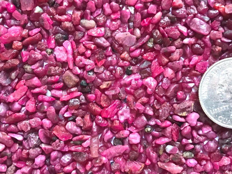 Op de afbeelding: Een verzameling kleine, ruwe, dieproze en magentakleurige robijnfragmenten met onregelmatige vormen en vari&euml;rende texturen. Een zilverkleurige Amerikaanse munt van 25 cent ligt aan de rechterkant als referentie voor de schaal.