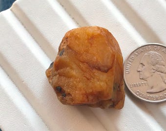 May include: A raw, amber-colored stone with a translucent, irregular shape and dark inclusions, positioned next to a United States quarter coin for scale to show its size relative to the 0.955 inch diameter of the currency.