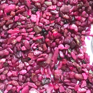 Op de afbeelding: Een verzameling kleine, ruwe, dieproze en magentakleurige robijn edelsteensplinters met onregelmatige vormen en gevarieerde texturen. Een Amerikaanse kwart dollar munt is aan de rechterkant geplaatst om een duidelijk beeld van de schaal te geven.