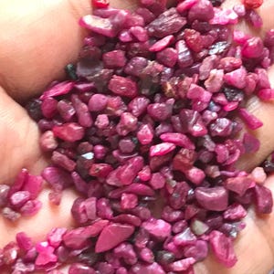 Op de afbeelding: Een verzameling kleine, ruwe, ongepolijste robijn-edelstenen in verschillende tinten diep roze en levendig rood. Deze losse, onregelmatige mineraalfragmenten hebben een getextureerd, mat oppervlak en zijn in een losse hoop gerangschikt.