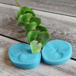May include: Two blue silicone molds shaped like flowers with five petals. The molds are on a wooden surface with a sprig of green leaves.