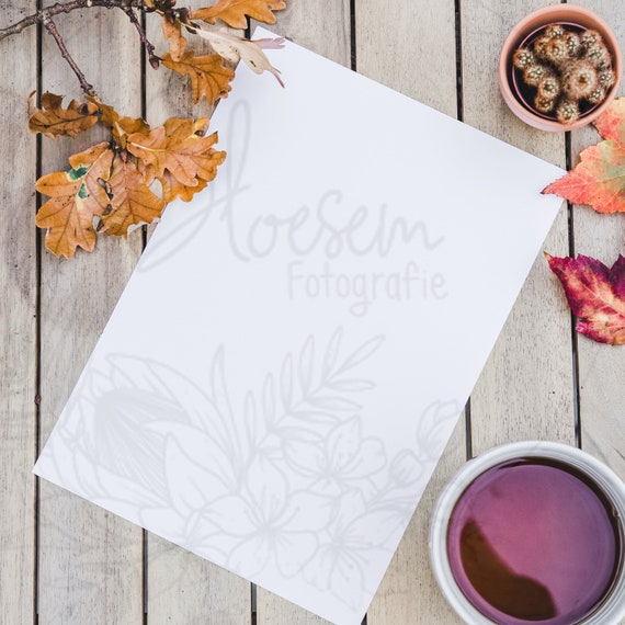 Autumn Flatlay Background Sociale Media Flatlay Styled